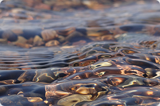 Unique water quality